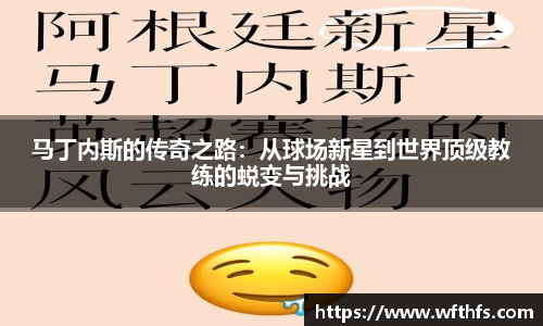 马丁内斯的传奇之路：从球场新星到世界顶级教练的蜕变与挑战