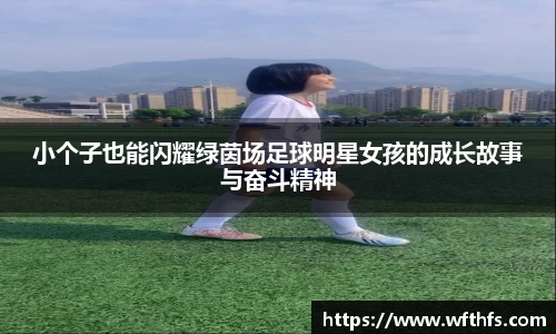 芒果体育登录注册